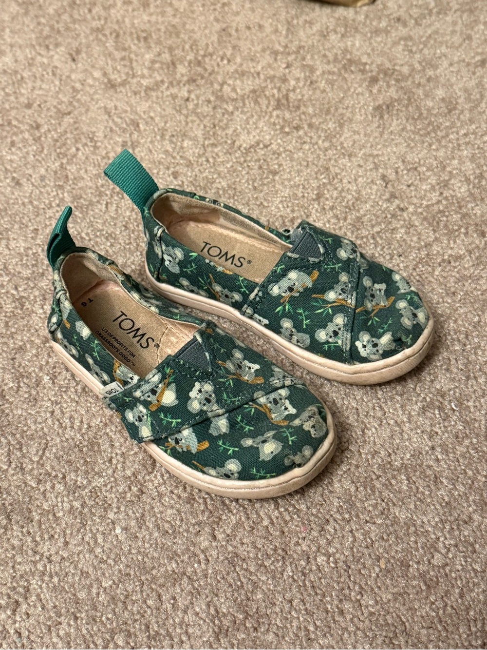 Toms Kids Green Koala Print Slip-On Sneakers Size 6 Toddler